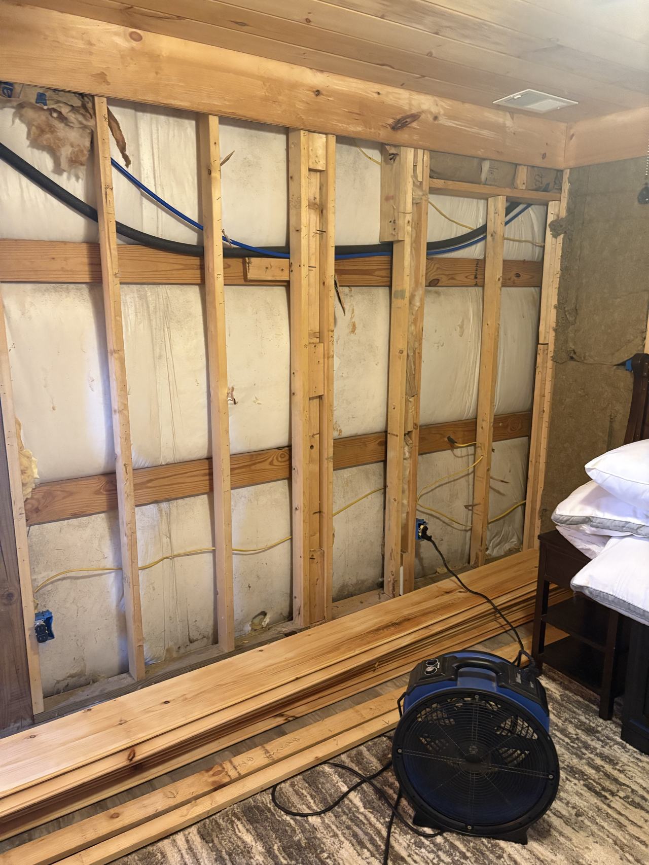 Bed bug service proof in Manchester, TN - June 8, 2026 - Job 12A323 main photo