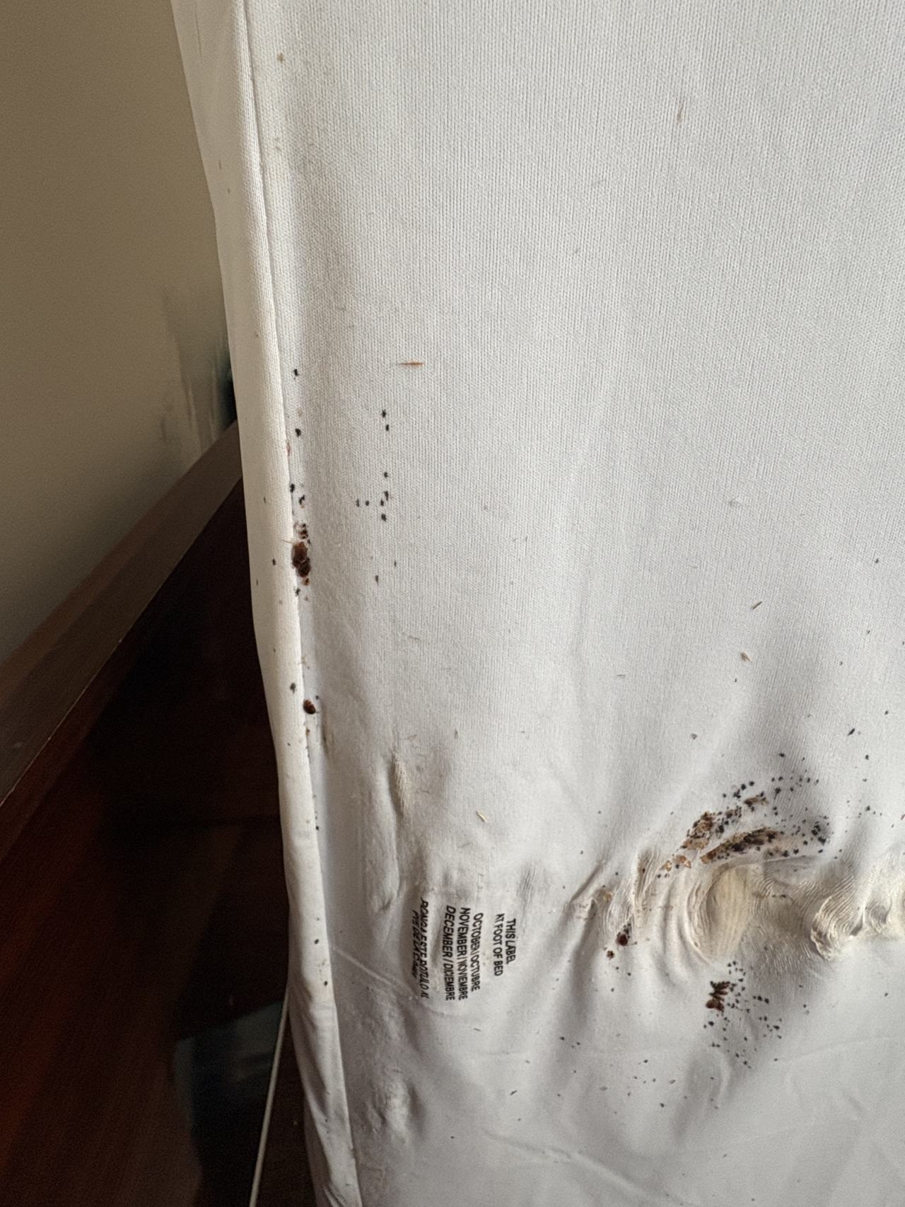 Bed bug service proof in Tullahoma, TN - June 8, 2026 - Job F4977B main photo