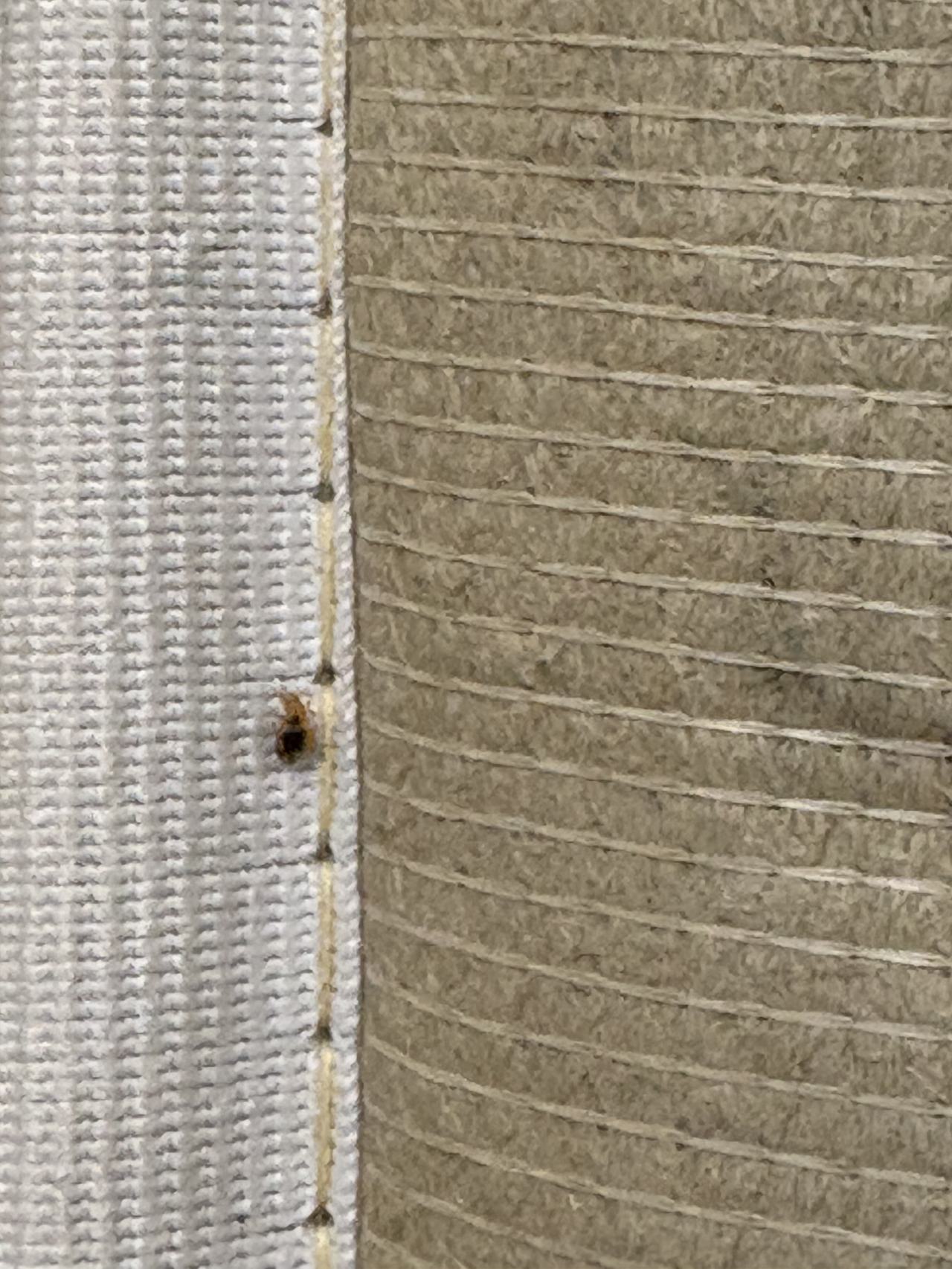 Bed bug service proof in Shelbyville, TN - June 9, 2026 - Job 9379CA main photo