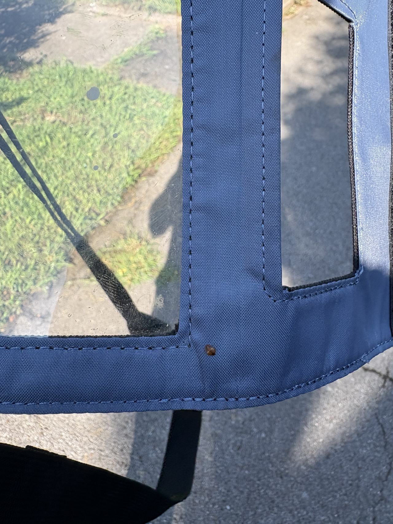 Bed bug service proof in Murfreesboro, TN - October 23, 2026 - Job 9B0973 main photo