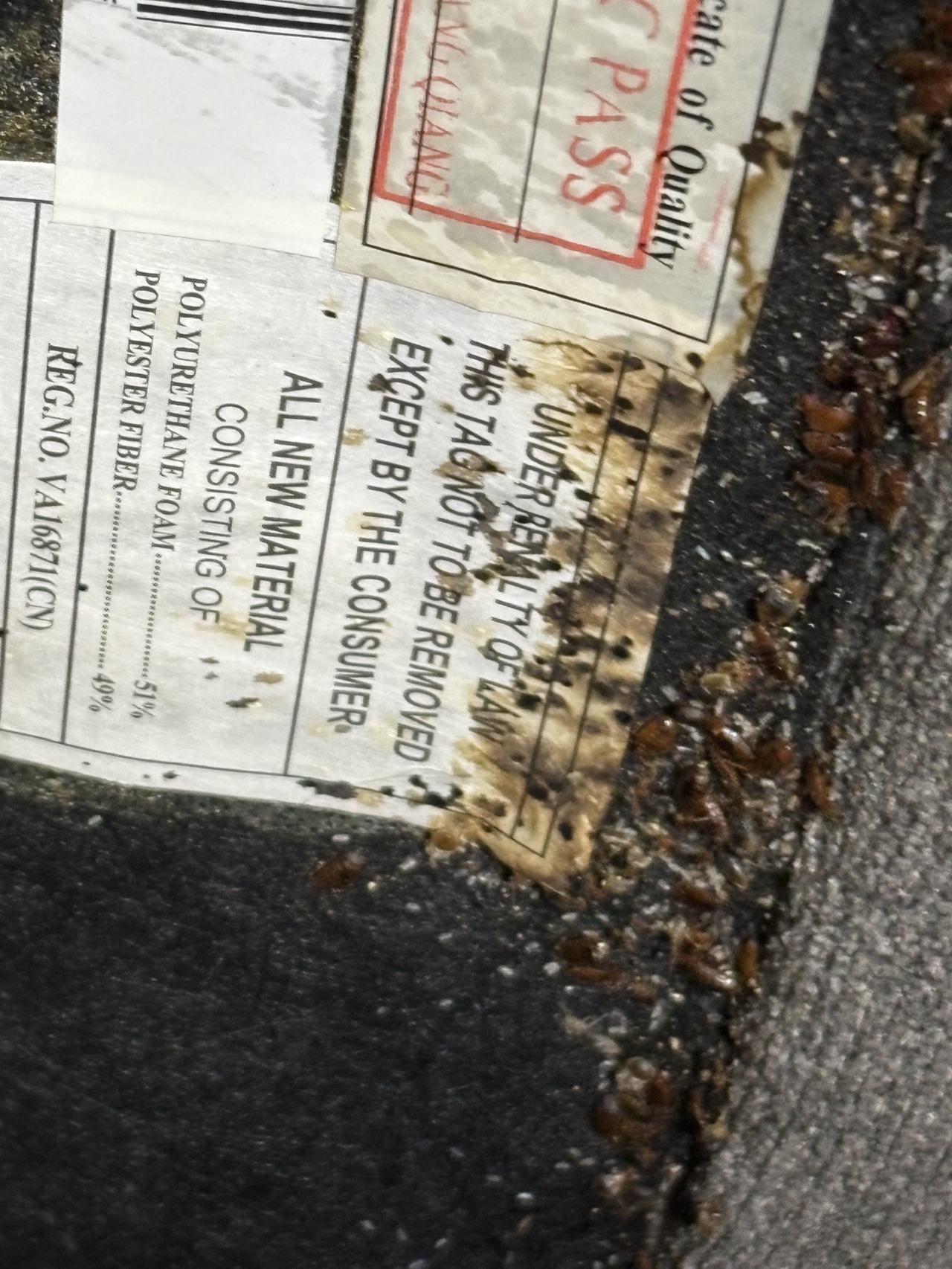 Bed bug service proof in Unionville, TN - October 23, 2026 - Job 997BB5 main photo