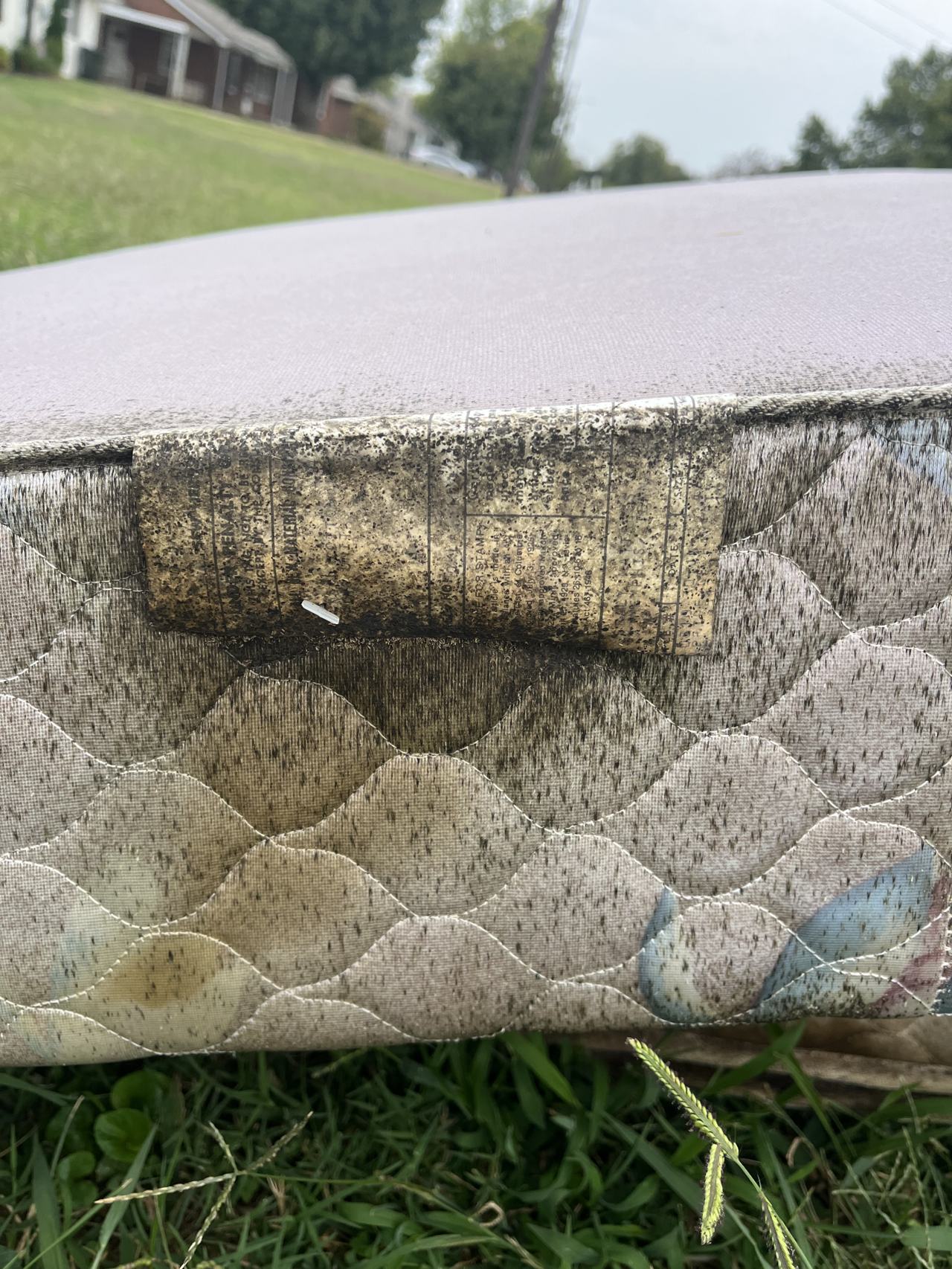 Bed bug service proof in Gallatin, TN - June 8, 2026 - Job DB4534 main photo