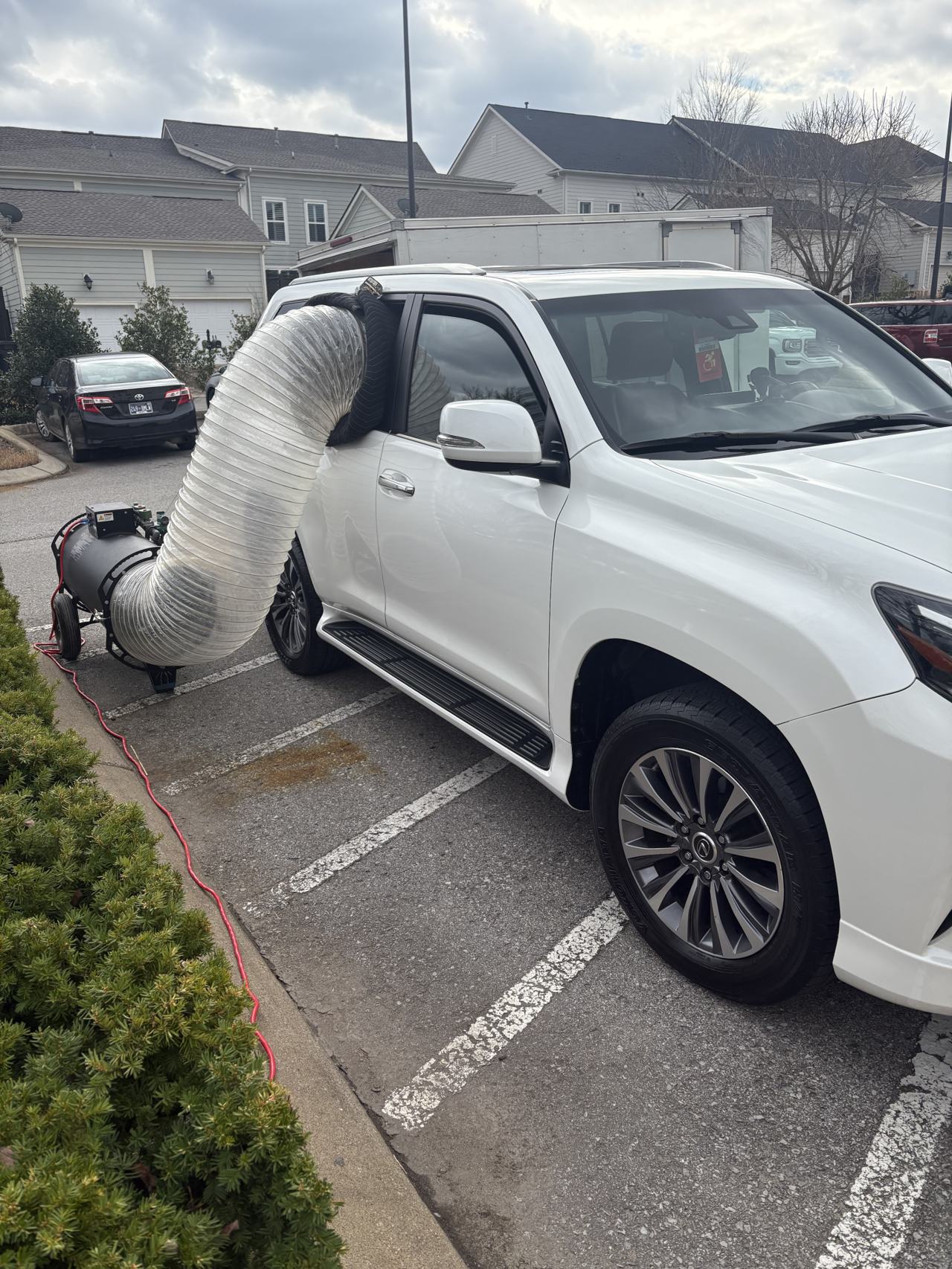 Bed bug service proof in Franklin, TN - June 8, 2026 - Job E29C85 main photo