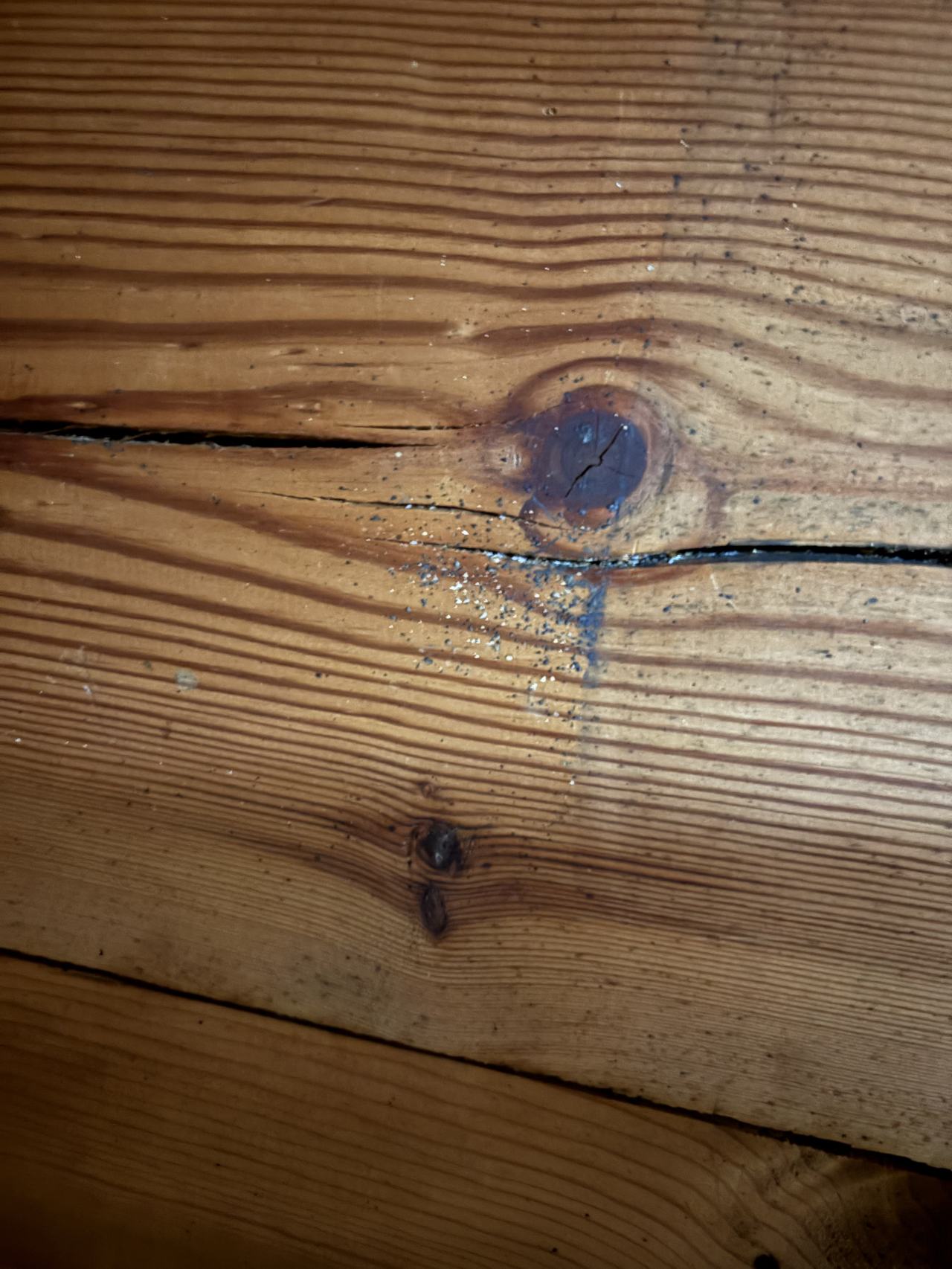 Bed bug service proof in Mt. Juliet, TN - June 8, 2026 - Job D81108 main photo