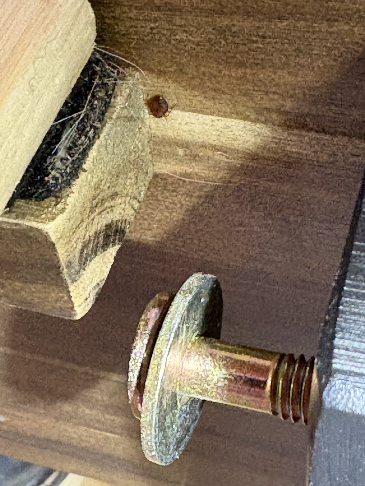 Bed bug service proof in Green Hill, TN - June 8, 2026 - Job DC7127 main photo