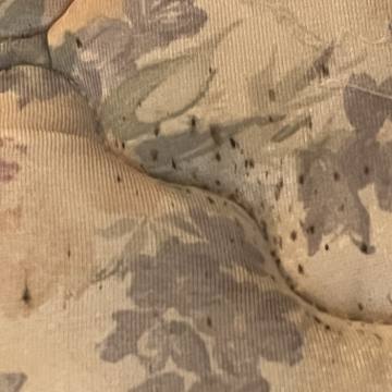Bed bug service proof in Cookeville, TN - June 8, 2026 - Job 4445EC photo 2