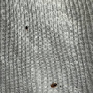 Bed bug service proof in Pelham, TN - June 8, 2026 - Job D2E13B photo 12