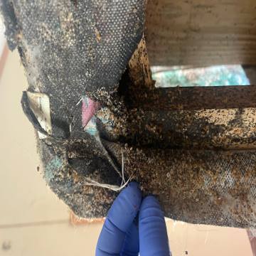 Bed bug service proof in Gallatin, TN - June 8, 2026 - Job BDF21E photo 2