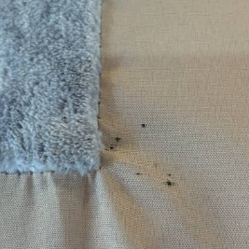 Bed bug service proof in Manchester, TN - June 8, 2026 - Job 12A323 photo 2