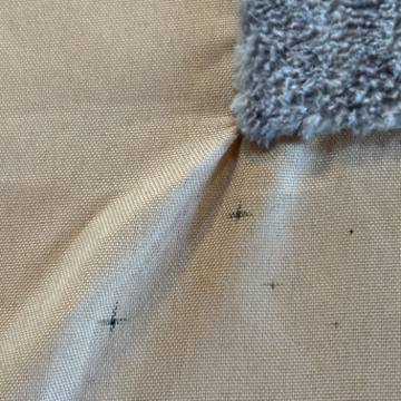 Bed bug service proof in Manchester, TN - June 8, 2026 - Job 12A323 photo 3