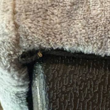 Bed bug service proof in Manchester, TN - June 8, 2026 - Job 12A323 photo 6