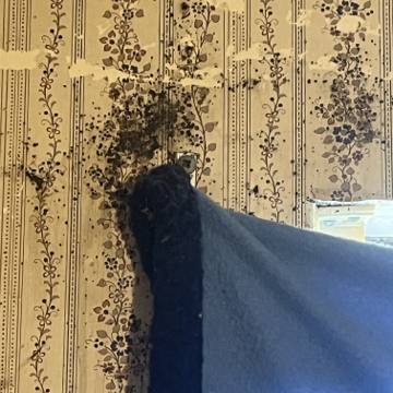 Bed bug service proof in Old Hickory, TN - June 8, 2026 - Job 9CFE1E photo 3