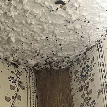 Bed bug service proof in Old Hickory, TN - June 8, 2026 - Job 9CFE1E photo 6
