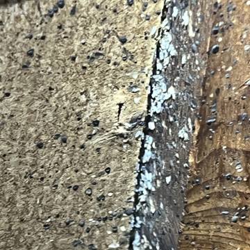 Bed bug service proof in Old Hickory, TN - June 8, 2026 - Job 9CFE1E photo 7