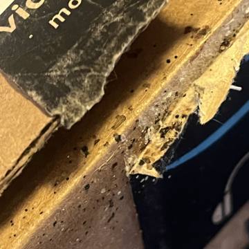 Bed bug service proof in Old Hickory, TN - June 8, 2026 - Job 9CFE1E photo 9