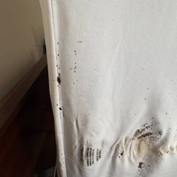 Bed bug service proof in Tullahoma, TN - June 8, 2026 - Job F4977B photo 1