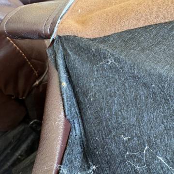 Bed bug service proof in Tullahoma, TN - June 8, 2026 - Job F4977B photo 12