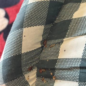 Bed bug service proof in Tullahoma, TN - June 8, 2026 - Job F4977B photo 5