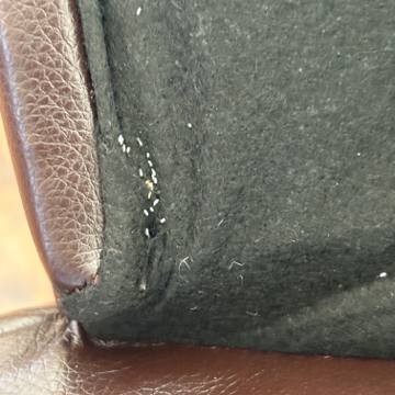 Bed bug service proof in Tullahoma, TN - June 8, 2026 - Job F4977B photo 6