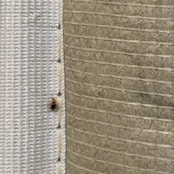 Bed bug service proof in Shelbyville, TN - June 9, 2026 - Job 9379CA photo 1