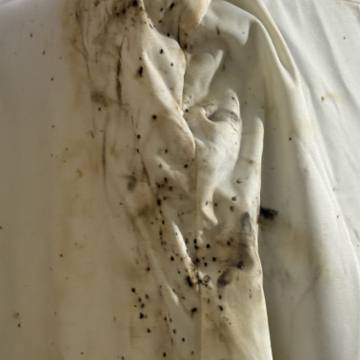 Bed bug service proof in Shelbyville, TN - June 9, 2026 - Job 9379CA photo 4