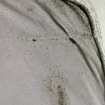 Bed bug service proof in Shelbyville, TN - June 3, 2026 - Job 744982 photo 2