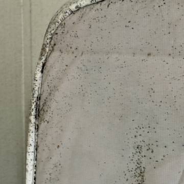 Bed bug service proof in Shelbyville, TN - June 3, 2026 - Job 744982 photo 3