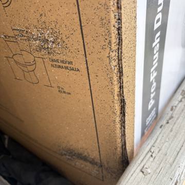 Bed bug service proof in Shelbyville, TN - June 3, 2026 - Job 744982 photo 6