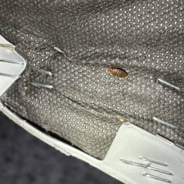 Bed bug service proof in Westmoreland, TN - June 8, 2026 - Job 8566A9 photo 7