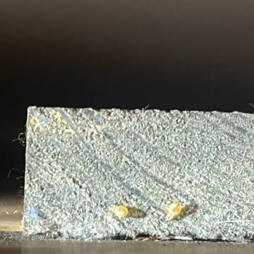Bed bug service proof in Lebanon, TN - June 8, 2026 - Job 308A63 photo 2