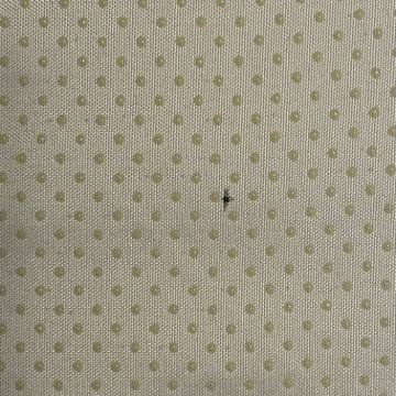 Bed bug service proof in Lebanon, TN - June 8, 2026 - Job 308A63 photo 4
