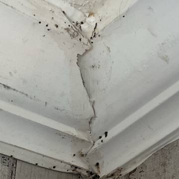 Bed bug service proof in Sparta, TN - June 8, 2026 - Job 917C35 photo 1