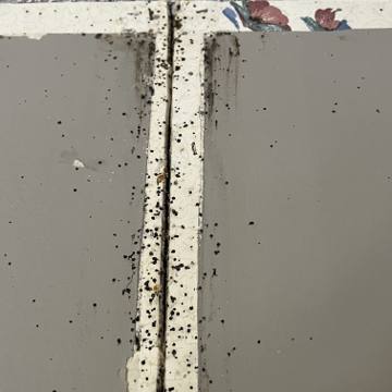 Bed bug service proof in Sparta, TN - June 8, 2026 - Job 917C35 photo 2
