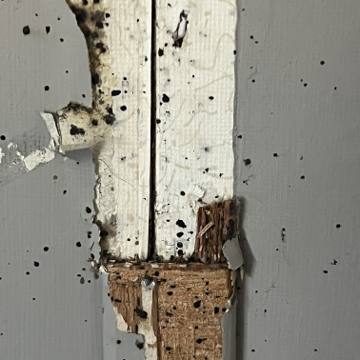 Bed bug service proof in Sparta, TN - June 8, 2026 - Job 917C35 photo 3