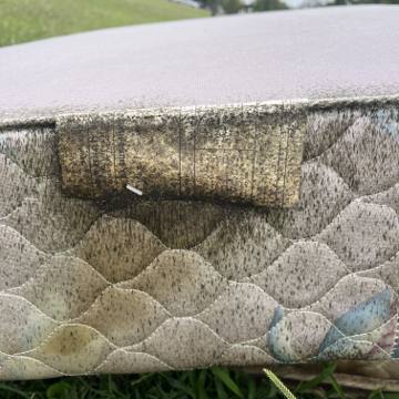 Bed bug service proof in Gallatin, TN - June 8, 2026 - Job DB4534 photo 1