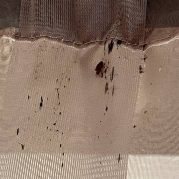 Bed bug service proof in Gallatin, TN - June 8, 2026 - Job DB4534 photo 2