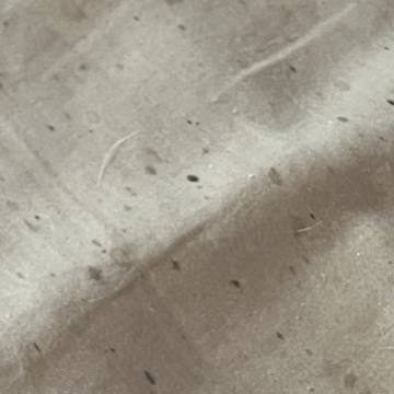 Bed bug service proof in Gallatin, TN - June 8, 2026 - Job DB4534 photo 3