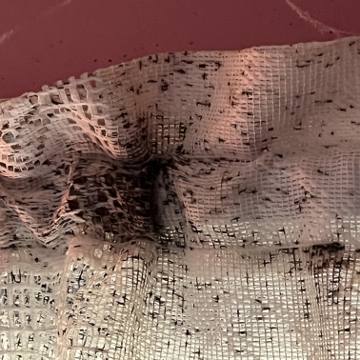 Bed bug service proof in Gallatin, TN - June 8, 2026 - Job DB4534 photo 7