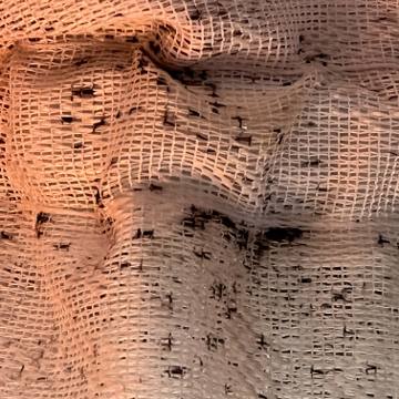 Bed bug service proof in Gallatin, TN - June 8, 2026 - Job DB4534 photo 8