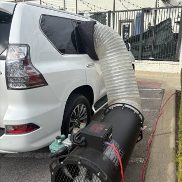 Bed bug service proof in Franklin, TN - June 8, 2026 - Job E29C85 photo 3