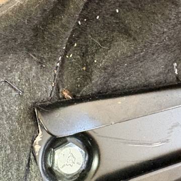 Bed bug service proof in Shelbyville, TN - June 9, 2026 - Job D7EE38 photo 7