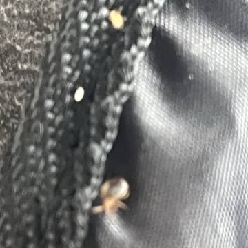 Bed bug service proof in La Vergne, TN - June 8, 2026 - Job DF50A6 photo 11