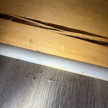 Bed bug service proof in Mt. Juliet, TN - June 8, 2026 - Job D81108 photo 3