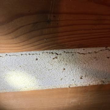 Bed bug service proof in Mt. Juliet, TN - June 8, 2026 - Job D81108 photo 5