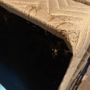 Bed bug service proof in Mt. Juliet, TN - June 8, 2026 - Job D81108 photo 6