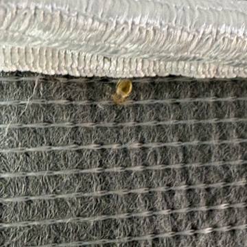 Bed bug service proof in Green Hill, TN - June 8, 2026 - Job DC7127 photo 2