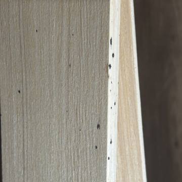 Bed bug service proof in Green Hill, TN - June 8, 2026 - Job DC7127 photo 3